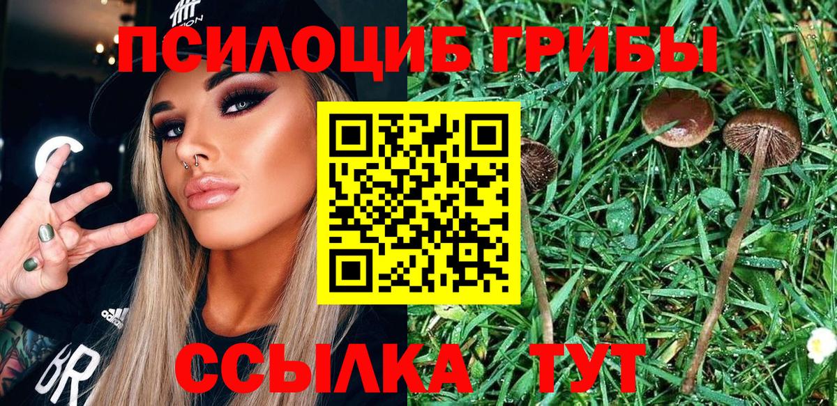 Артёмовский  Галлюциногенные грибы мухоморы  Вход с VPN 